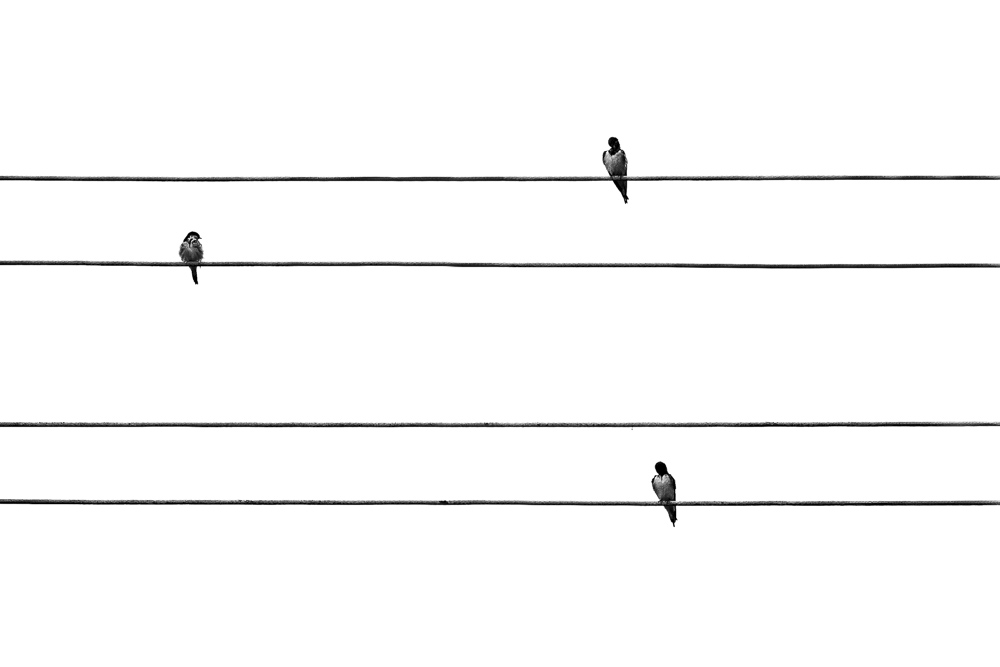 Platz 4 Juergen Feldmann